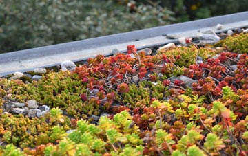 the cost of Stanton Upon Hine Heath green roof installation