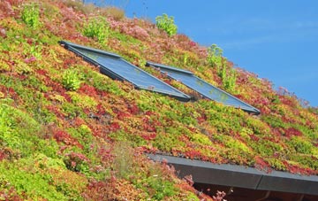 Stanton Upon Hine Heath living roof systems