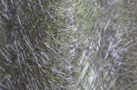 Stanton Upon Hine Heath fibreglass roof work